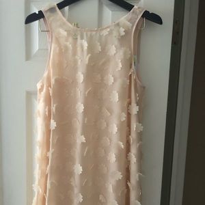 Light pink never worn before dress.